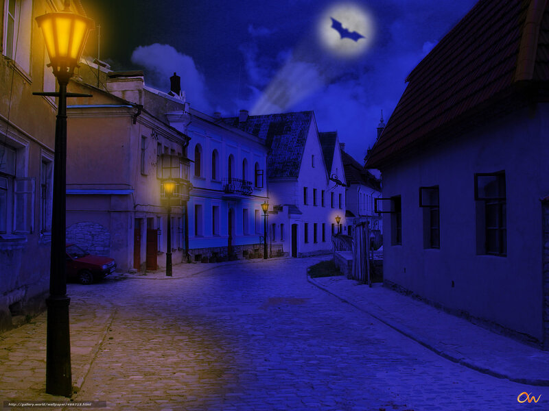 moonlit cobblestone street