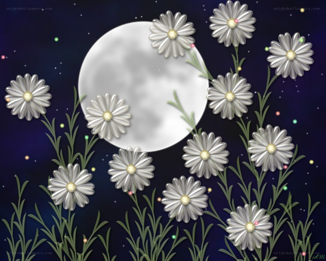 Moonlit daisies at night