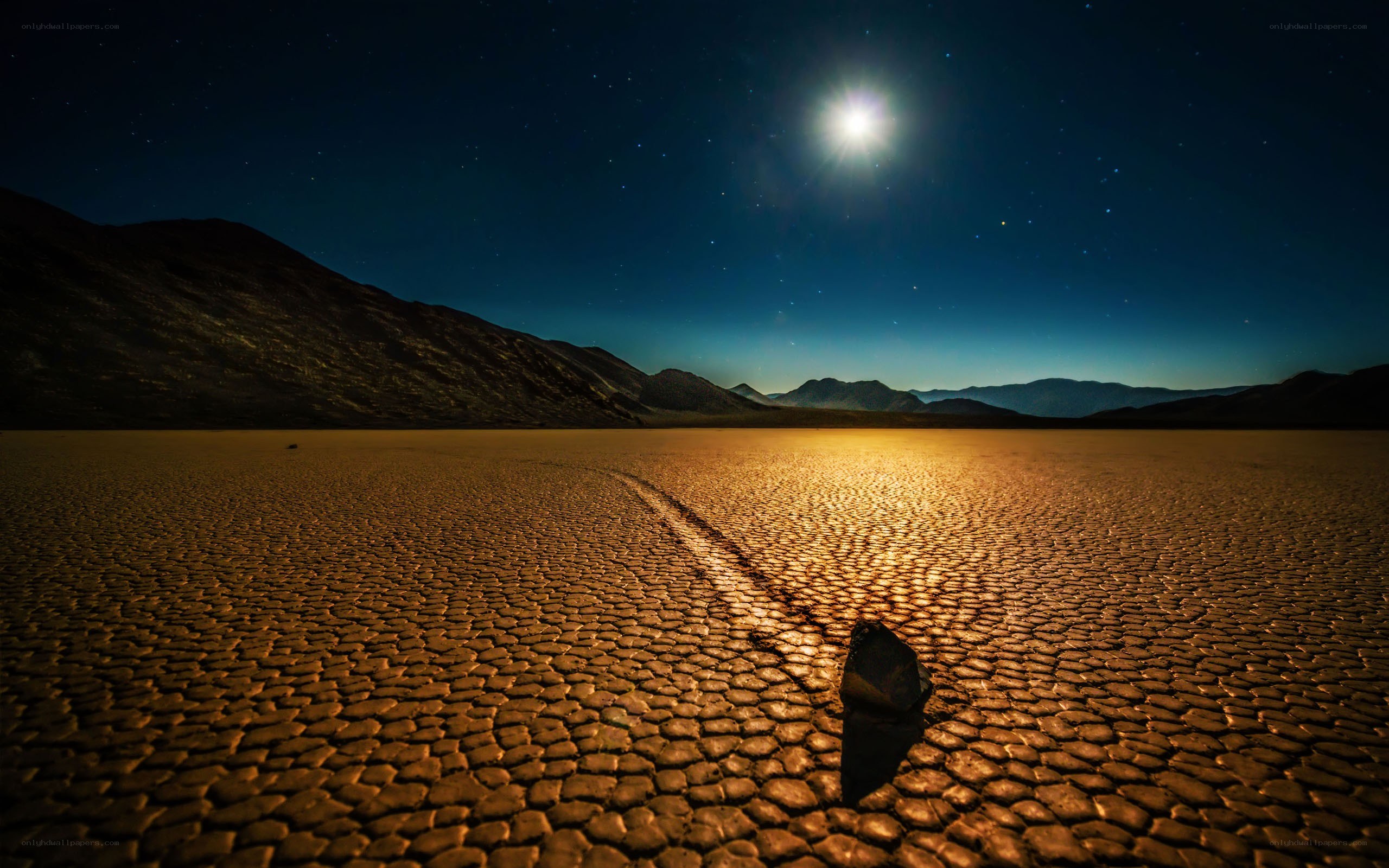 Moonlit desert landscape