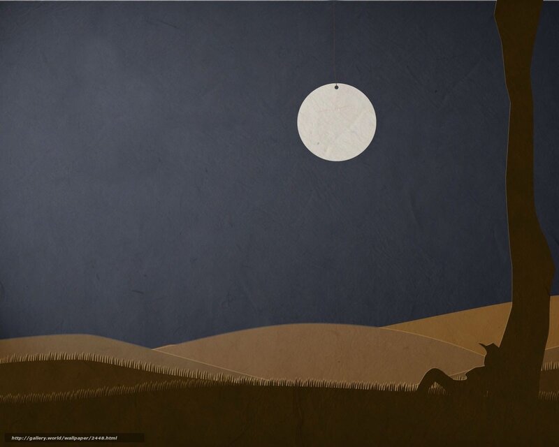 Moonlit desert night