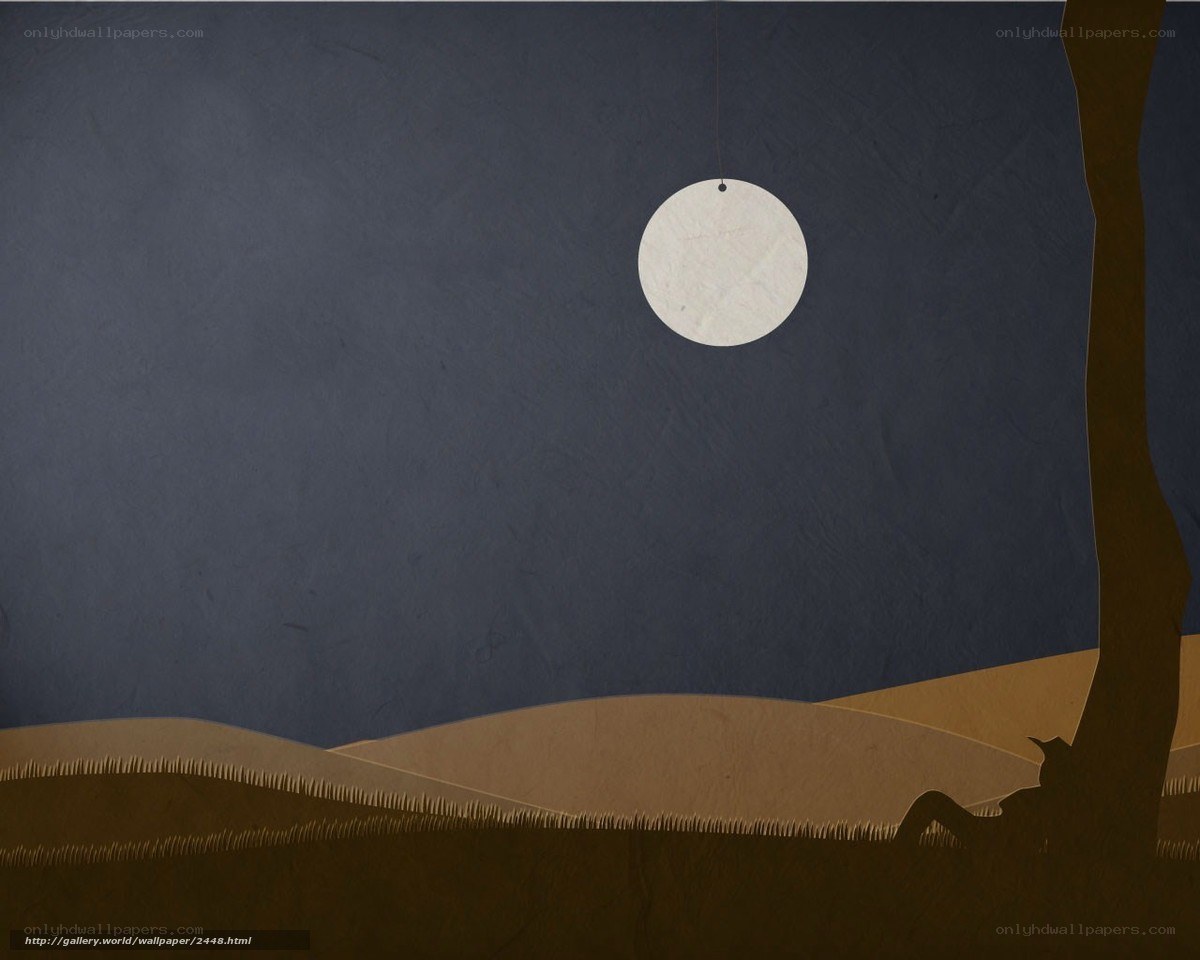 Moonlit desert night