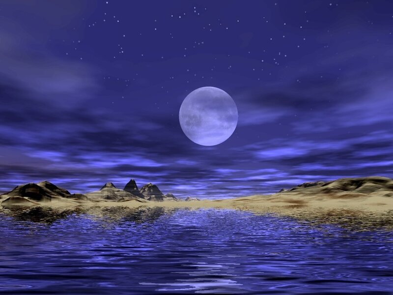 Moonlit desert oasis