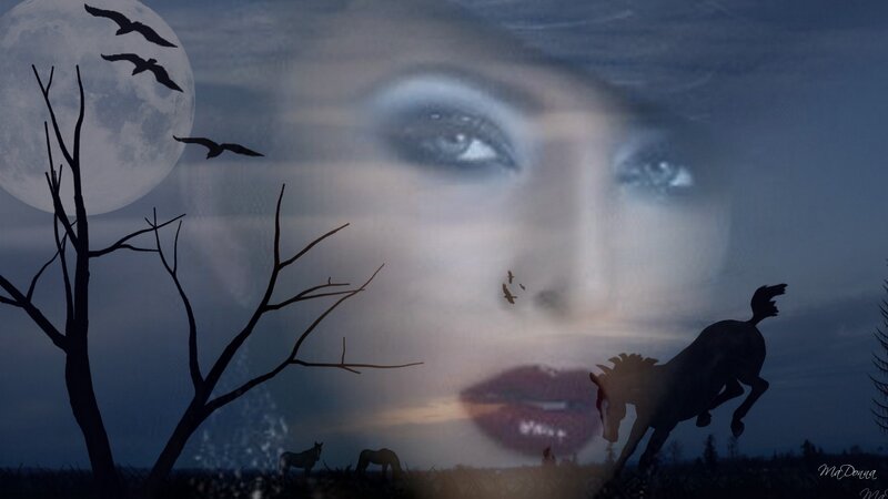 moonlit face with horses