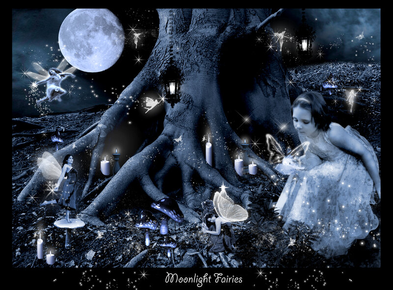 Moonlit Fairy Gathering