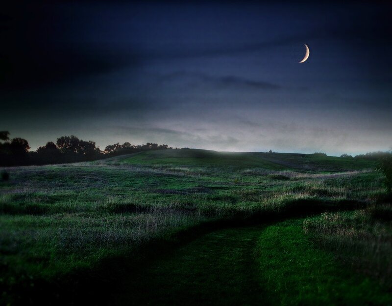 Moonlit field at dusk