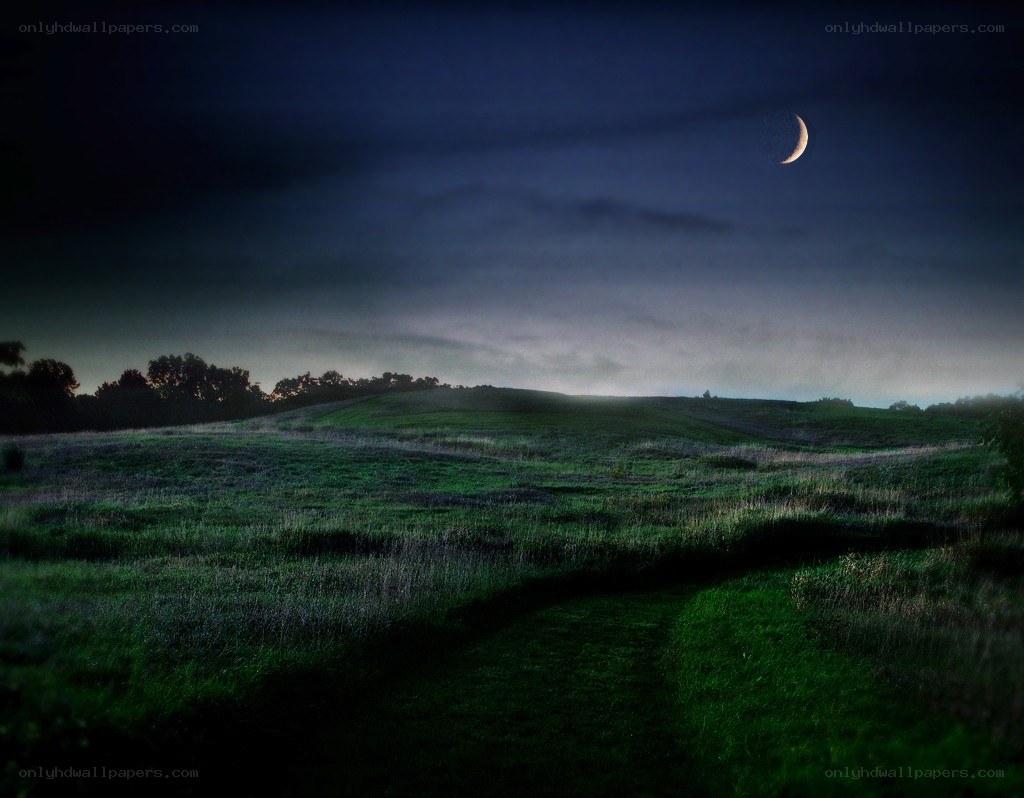 Moonlit field at dusk