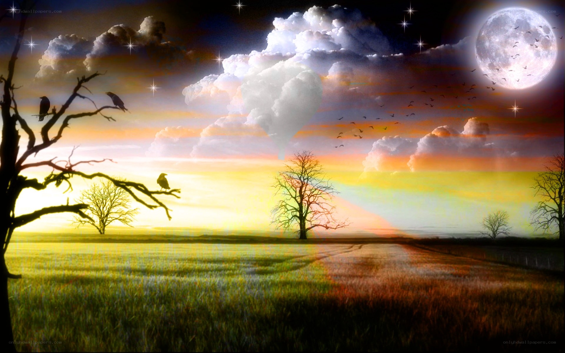 Moonlit field at dusk