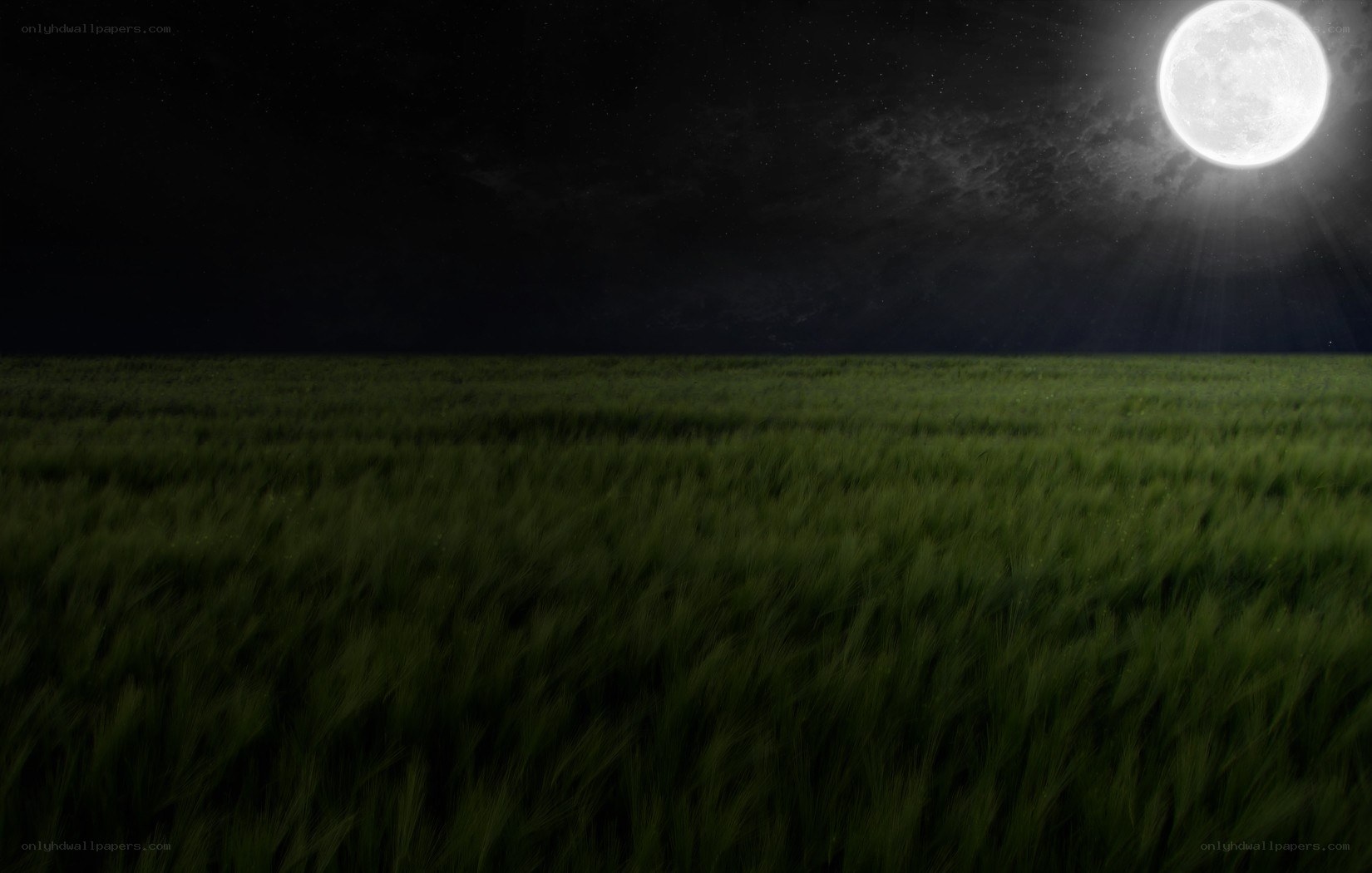 Moonlit field at night