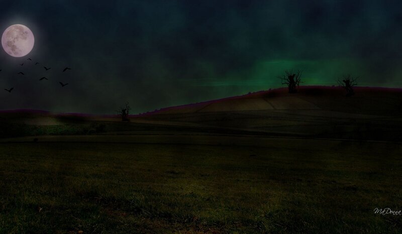 Moonlit Field with Aurora