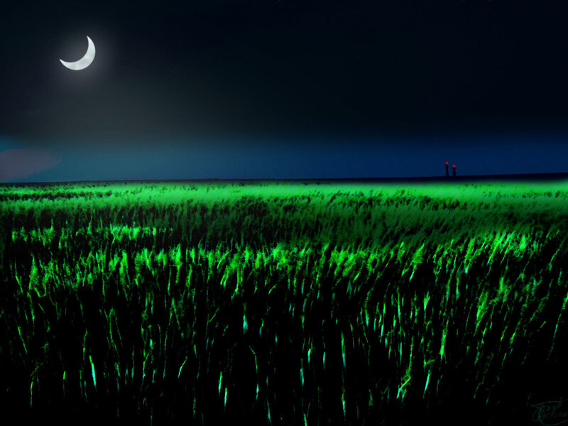Moonlit field with glowing grass