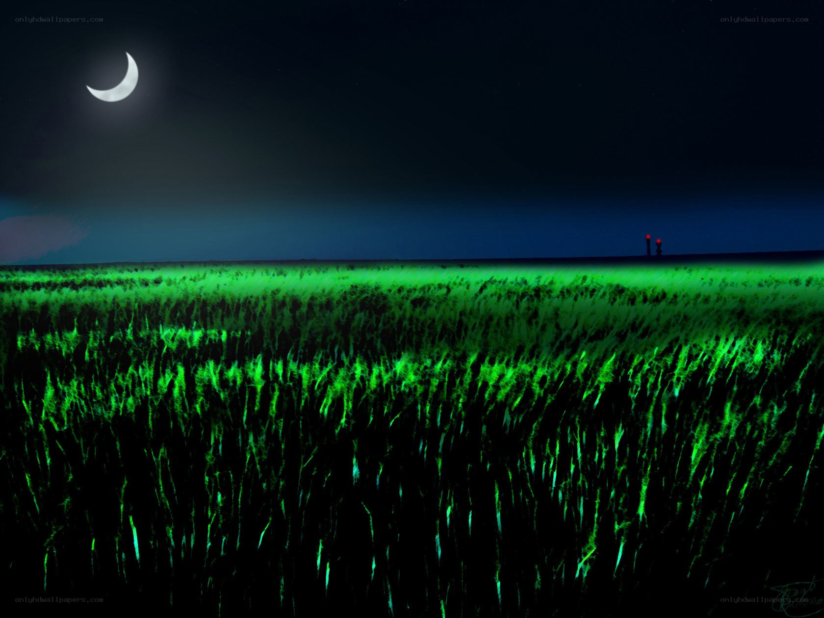 Moonlit field with glowing grass