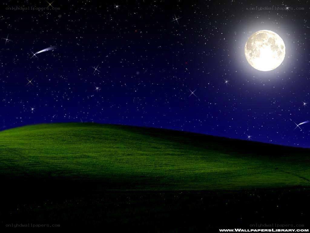 Moonlit field with stars