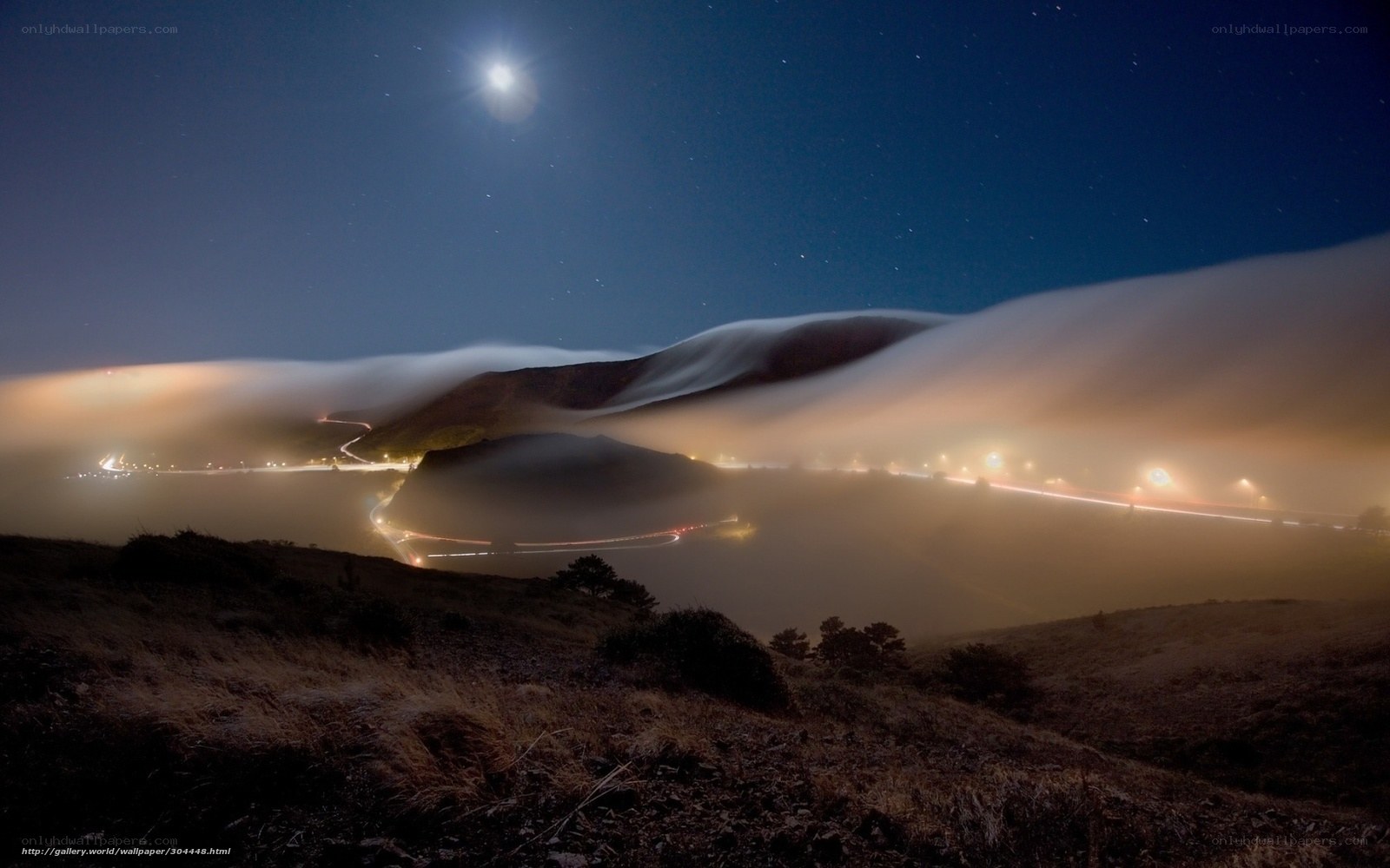 Moonlit Fog Over Coastal Road