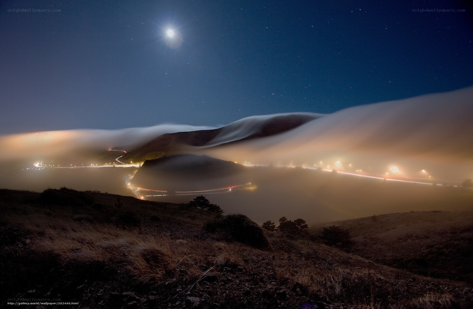 Moonlit Fog Over Coastal Road