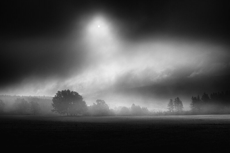 Moonlit Fog over Field