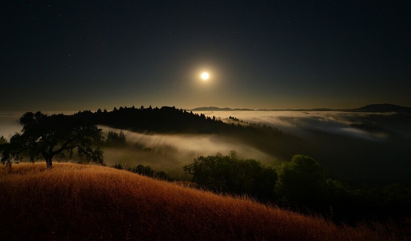Moonlit Fog over Hills