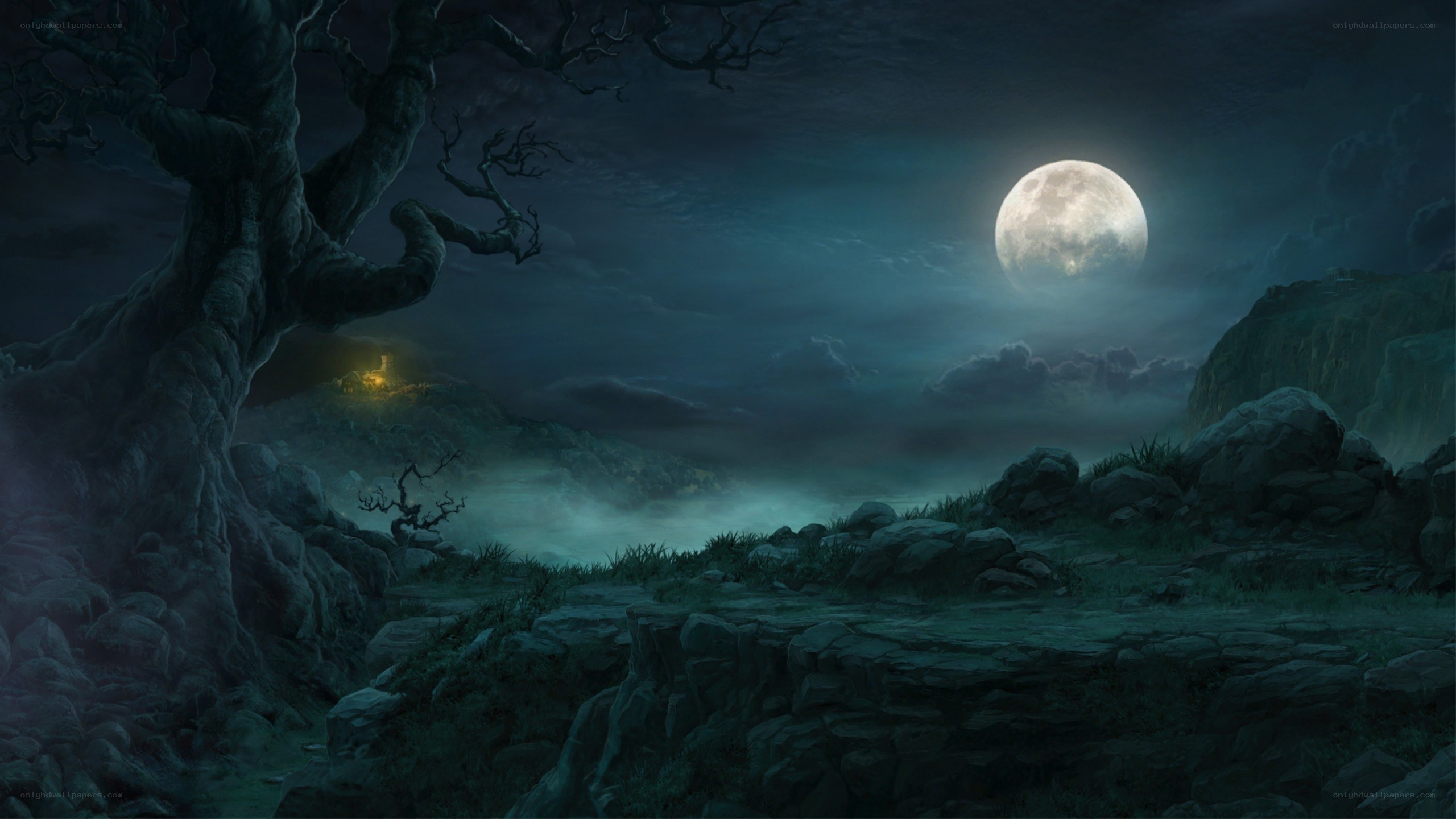Moonlit forest at night