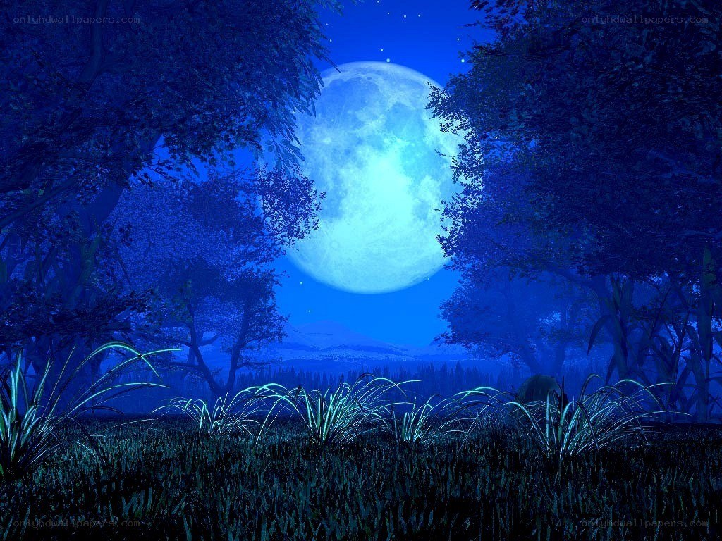 Moonlit forest at night
