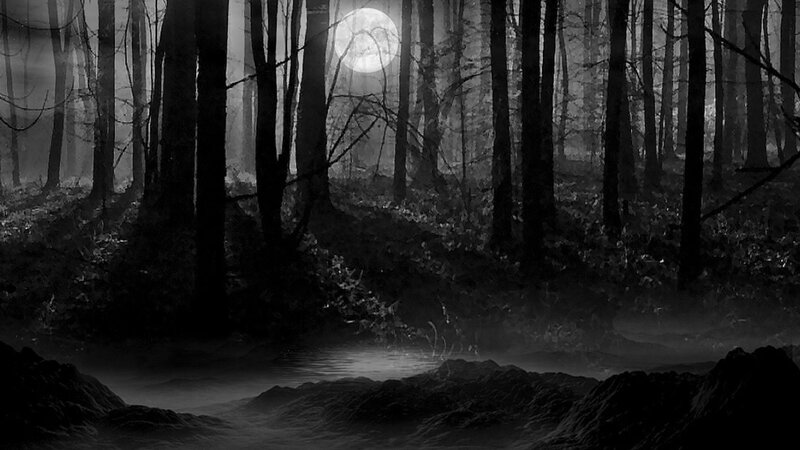 Moonlit Forest at Night — Black, Dark