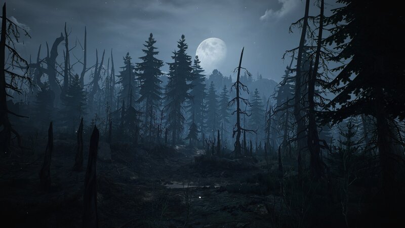 Moonlit Forest at Night — Blue, Dark