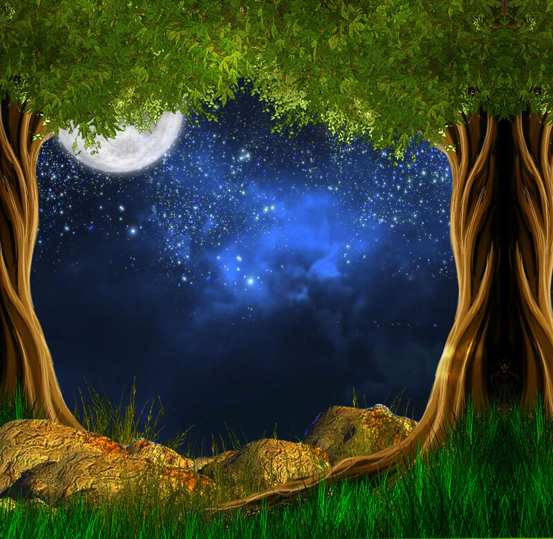 Moonlit Forest Clearing