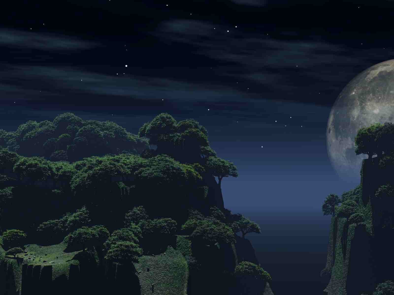 Moonlit forest cliffs