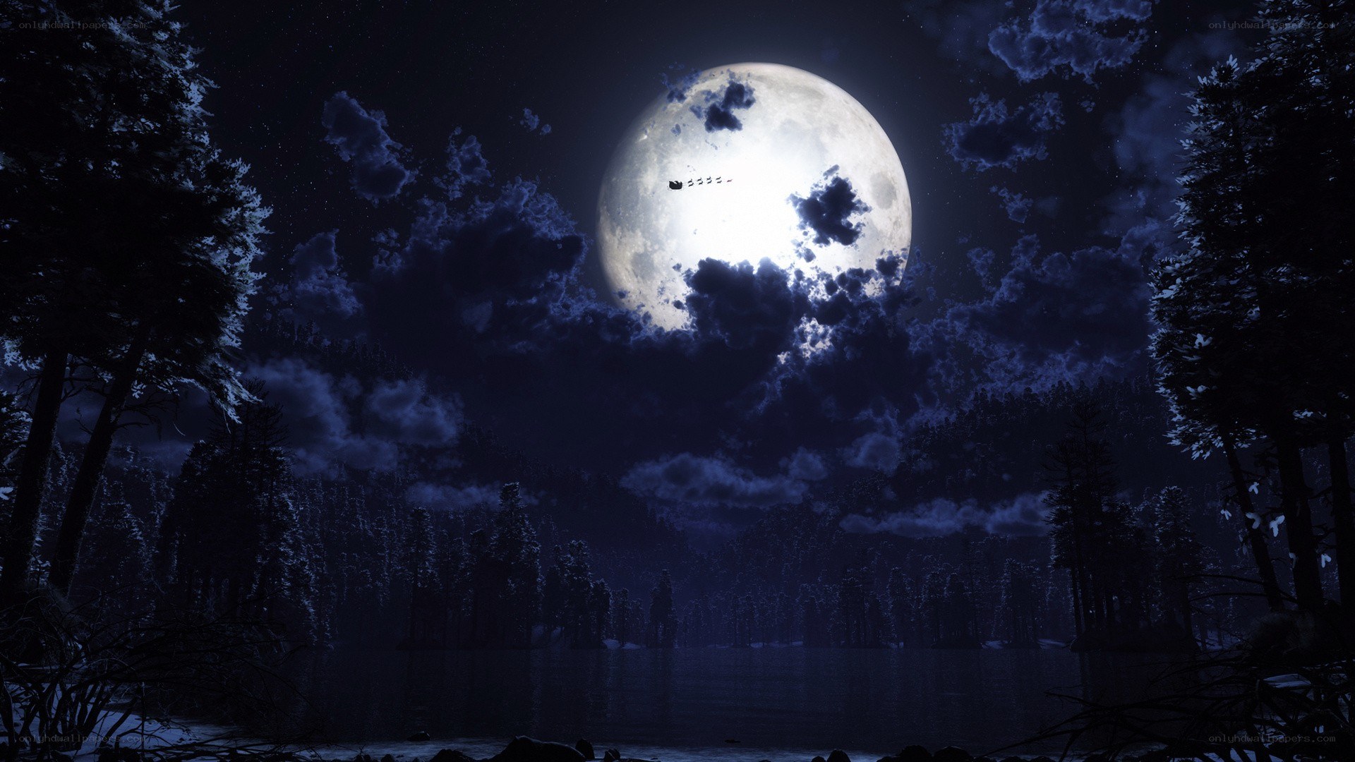 Moonlit forest lake at night