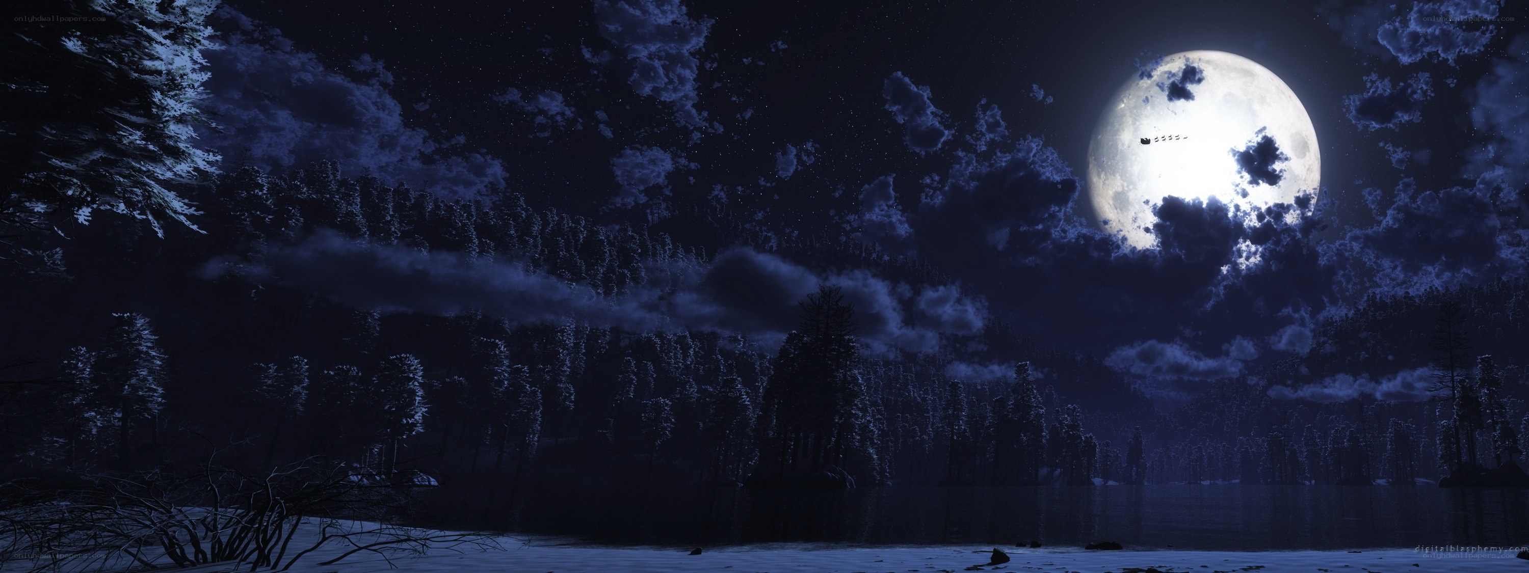 Moonlit forest lake at night