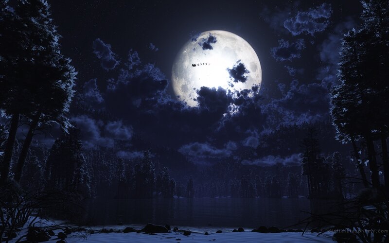 Moonlit forest lake at night