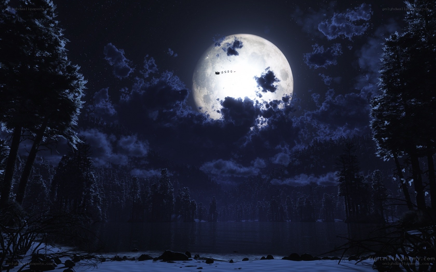 Moonlit forest lake at night
