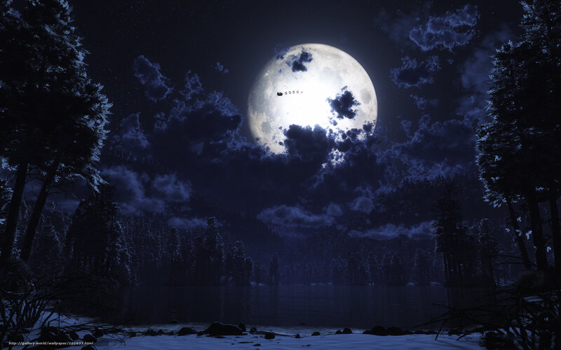 Moonlit forest lake at night