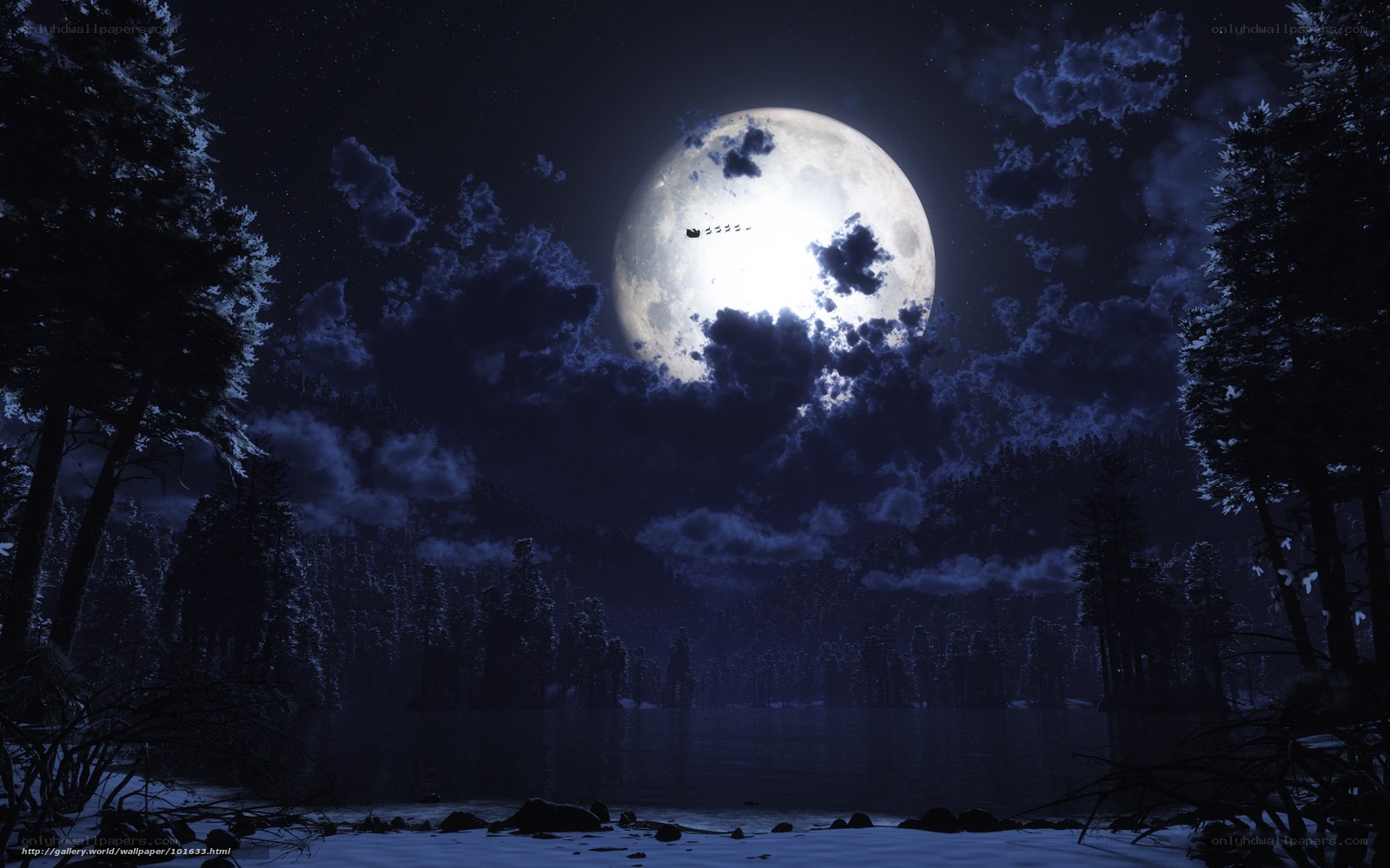 Moonlit forest lake at night