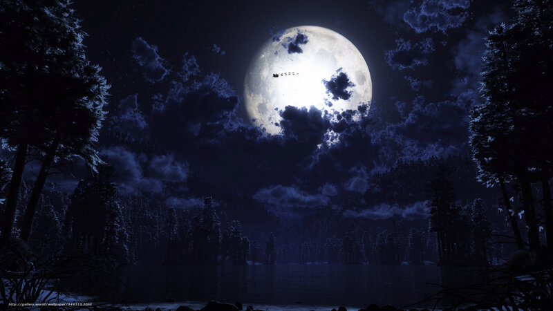 Moonlit forest lake scene