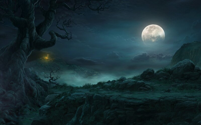 moonlit forest landscape