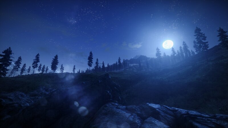 Moonlit Forest Landscape — Blue, Serene