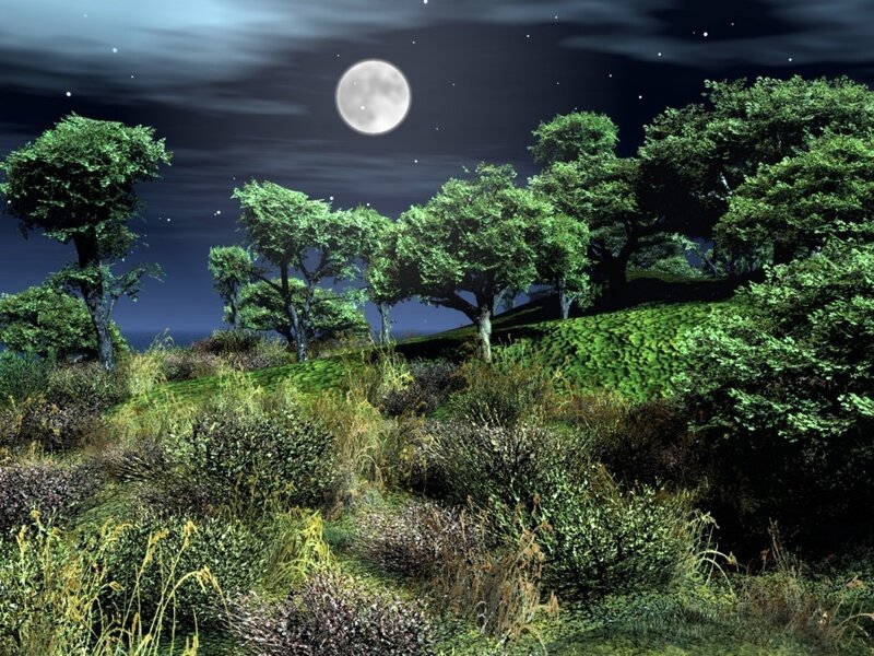 Moonlit Forest Landscape — Green, Serene