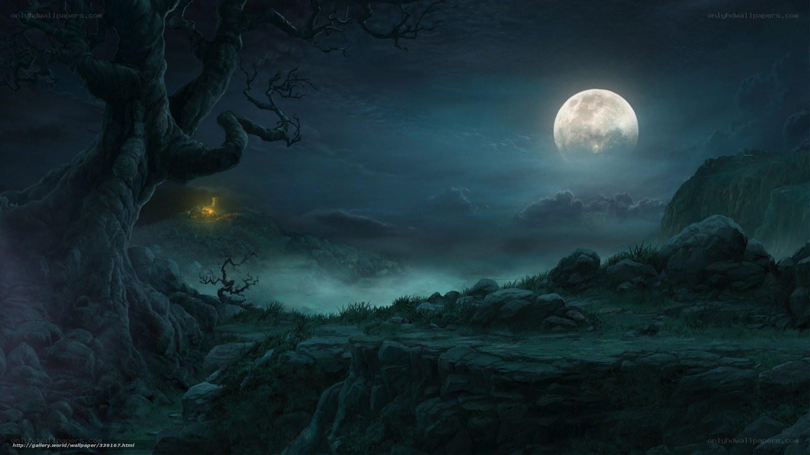 Moonlit forest landscape