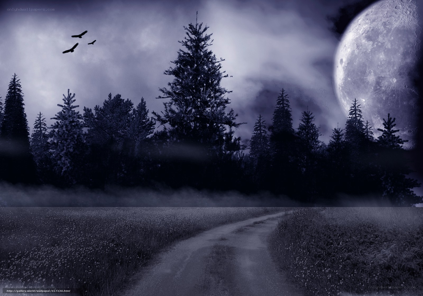 Moonlit forest path at night