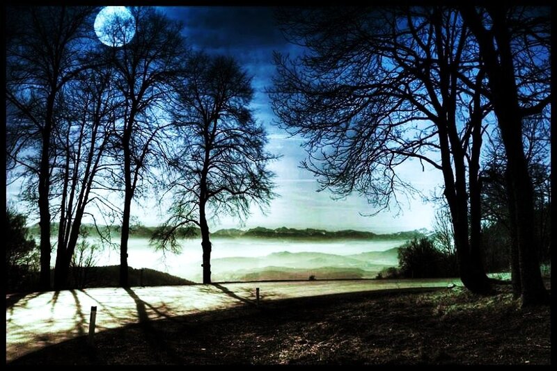 Moonlit Forest Path — Blue, Dramatic