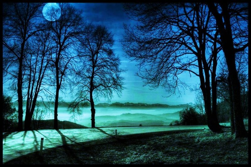 Moonlit Forest Path — Blue, Serene