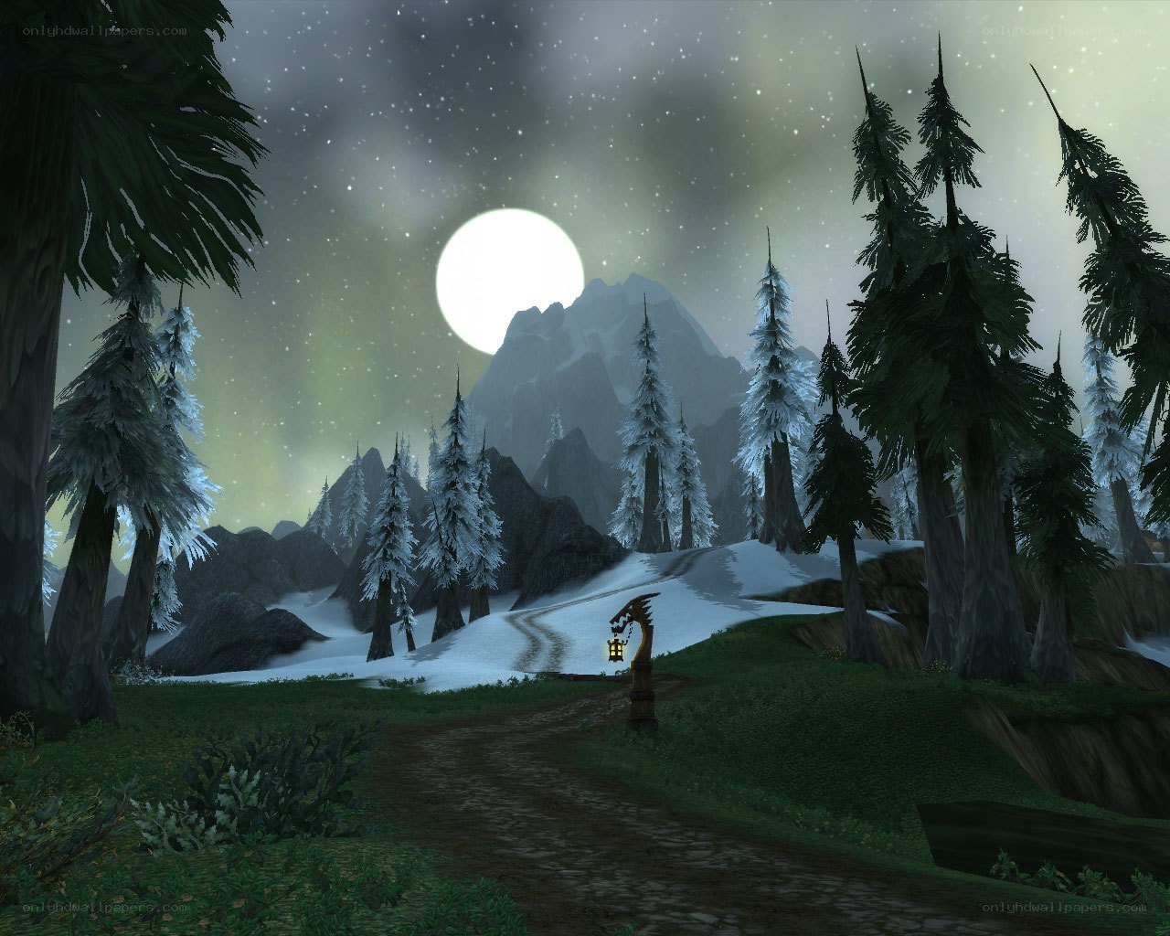 Moonlit forest path