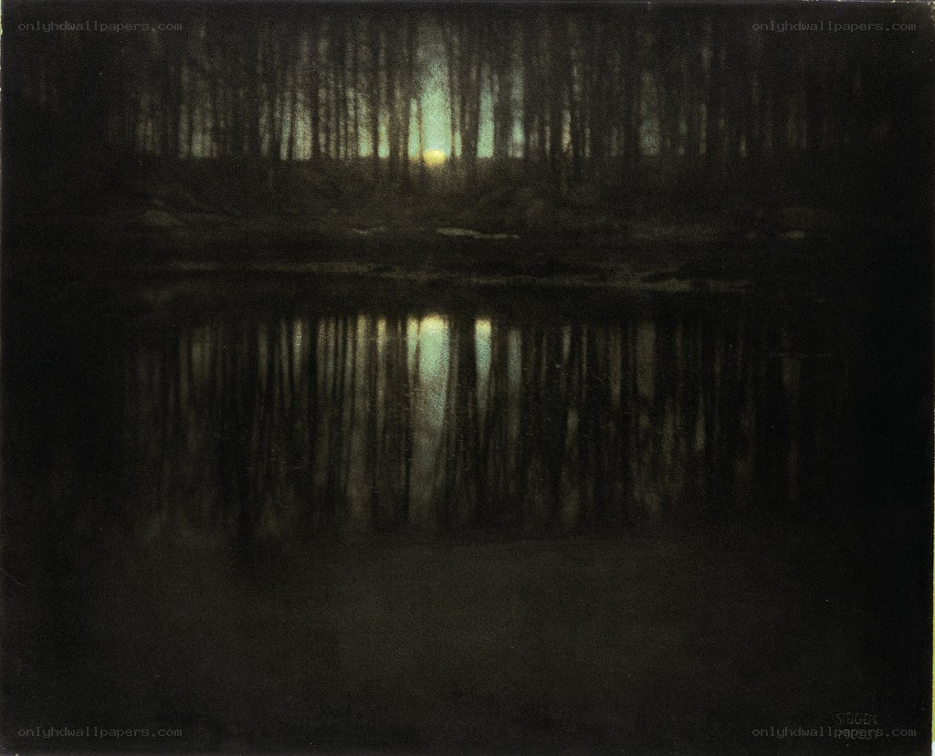 Moonlit forest reflection