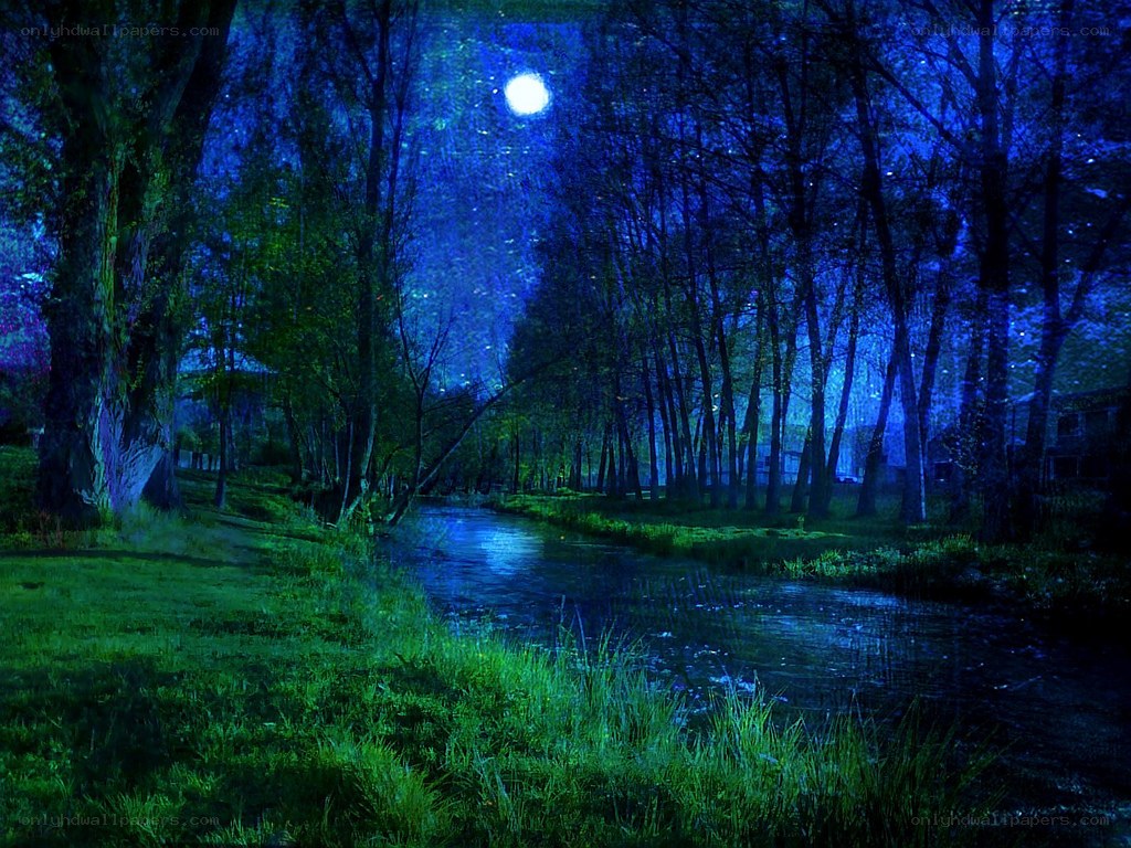 Moonlit forest river