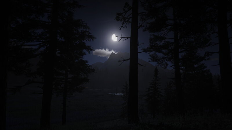Moonlit Forest Scene — Black
