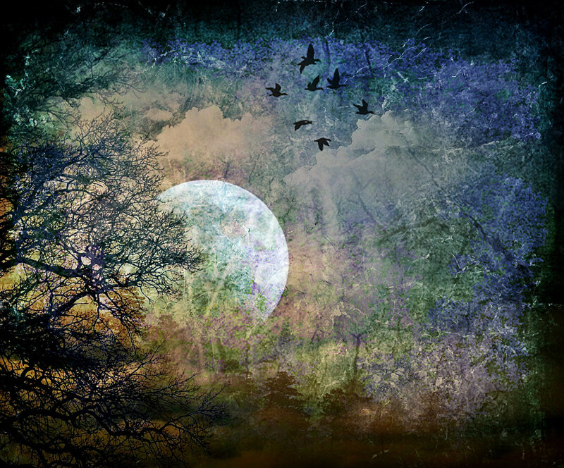 Moonlit Forest Scene — Purple