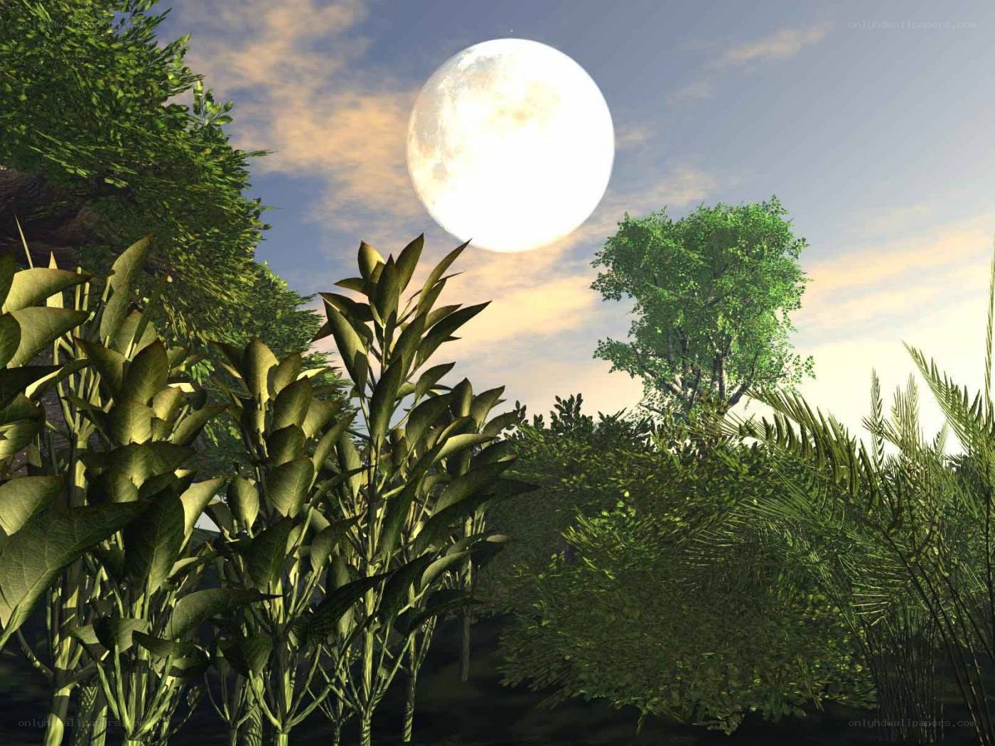 Moonlit forest scene