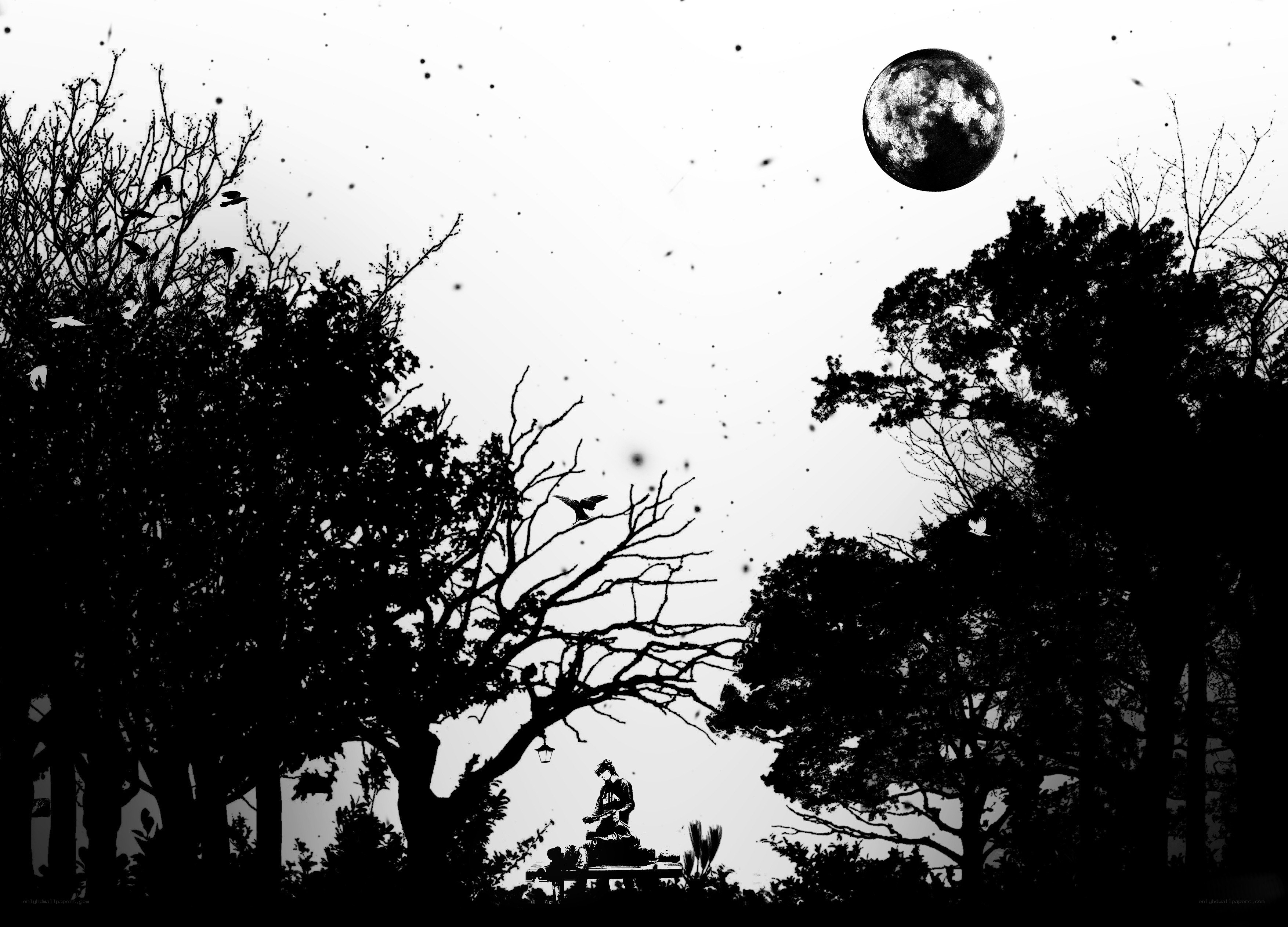 Moonlit forest silhouette