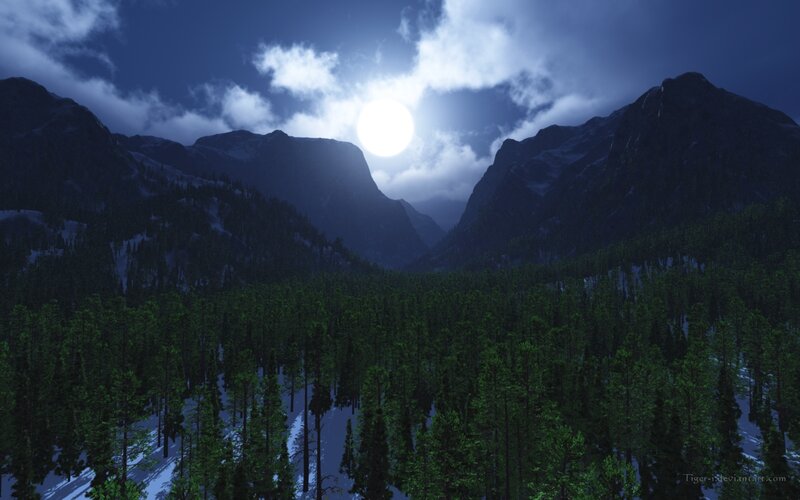 Moonlit Forest Valley
