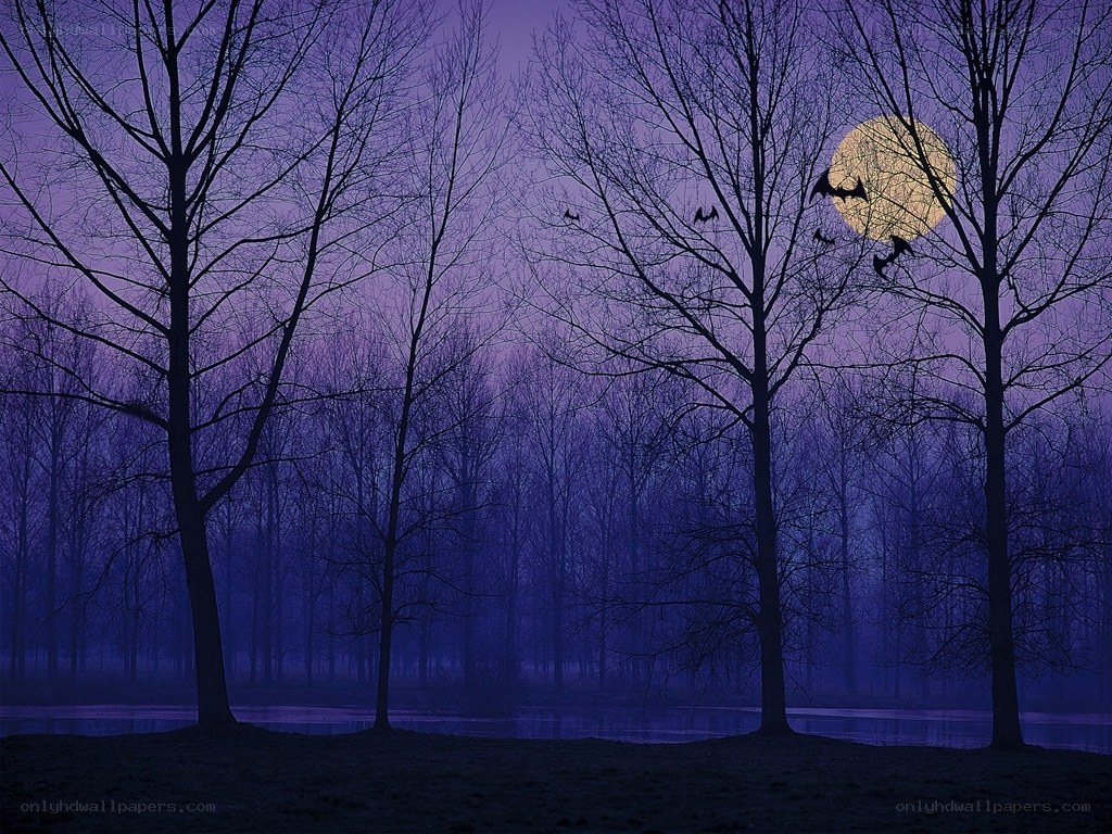 Moonlit forest with bats