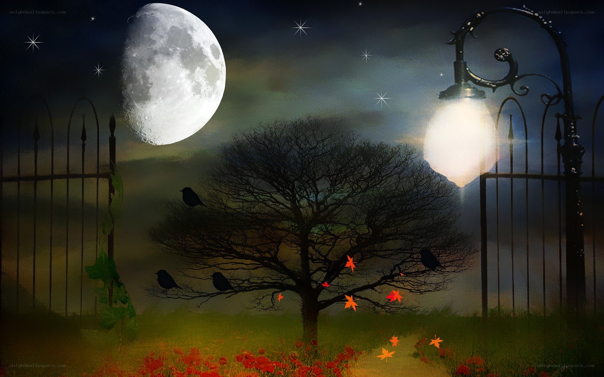 Moonlit garden at night